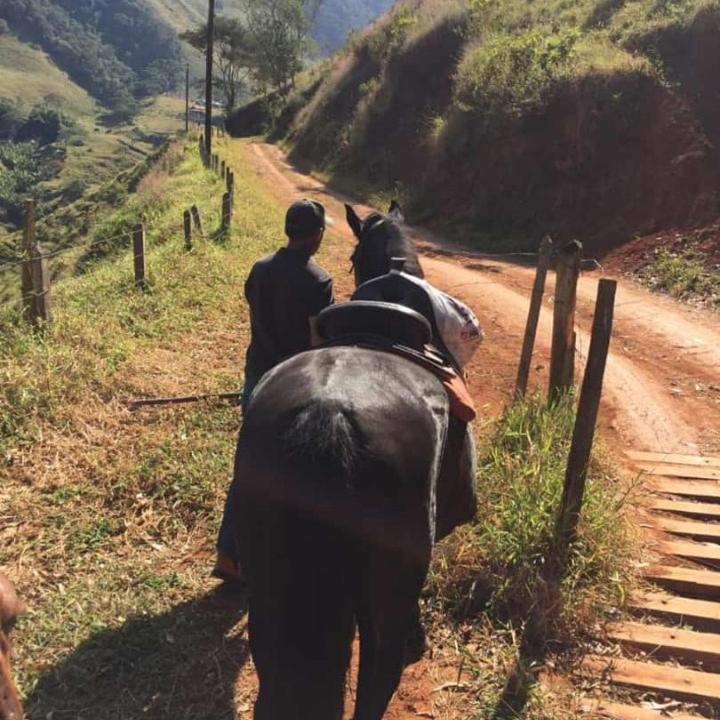 Refugio Horse Villa Santo Antonio do Pinhal Ngoại thất bức ảnh