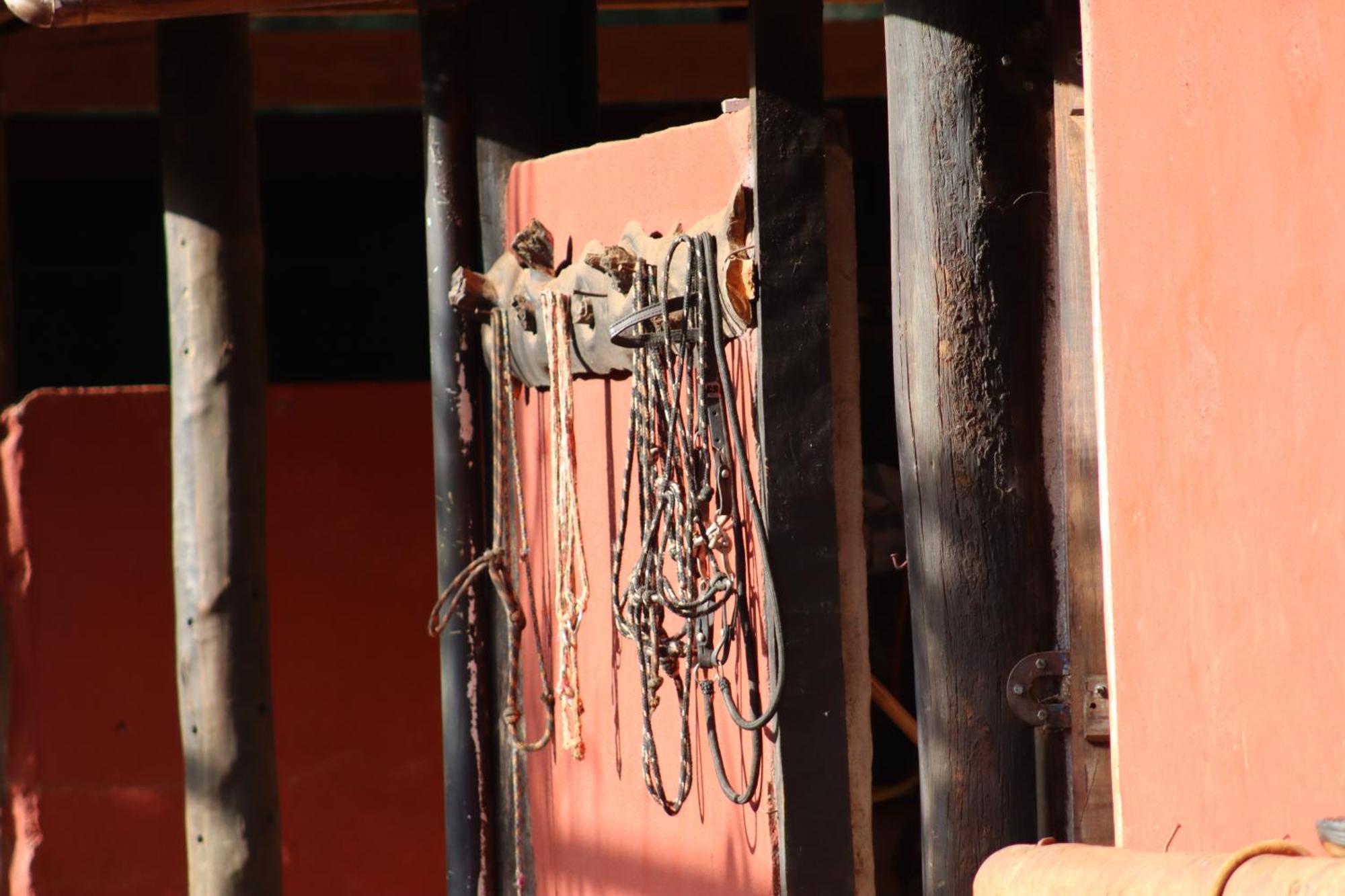 Refugio Horse Villa Santo Antonio do Pinhal Phòng bức ảnh